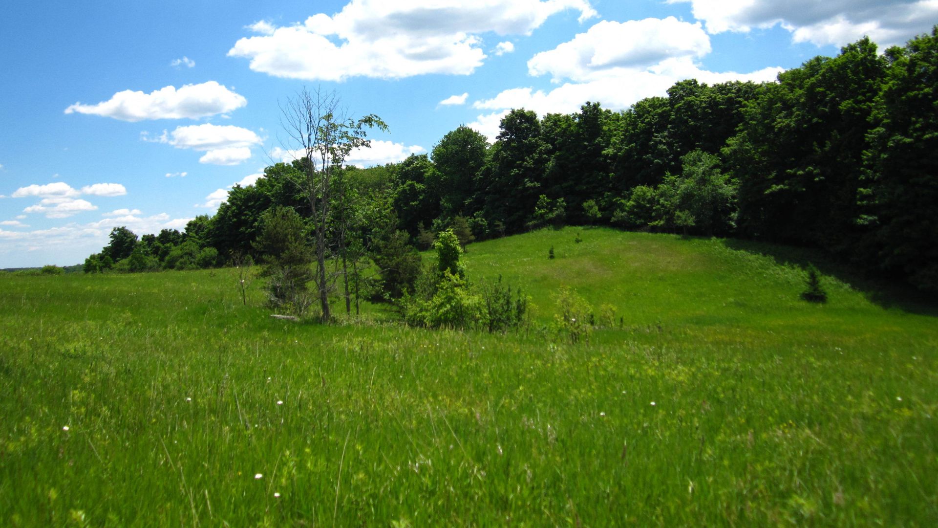 ArtisJP has sold 620 hectares of farmland to the Land Fund of Latvia