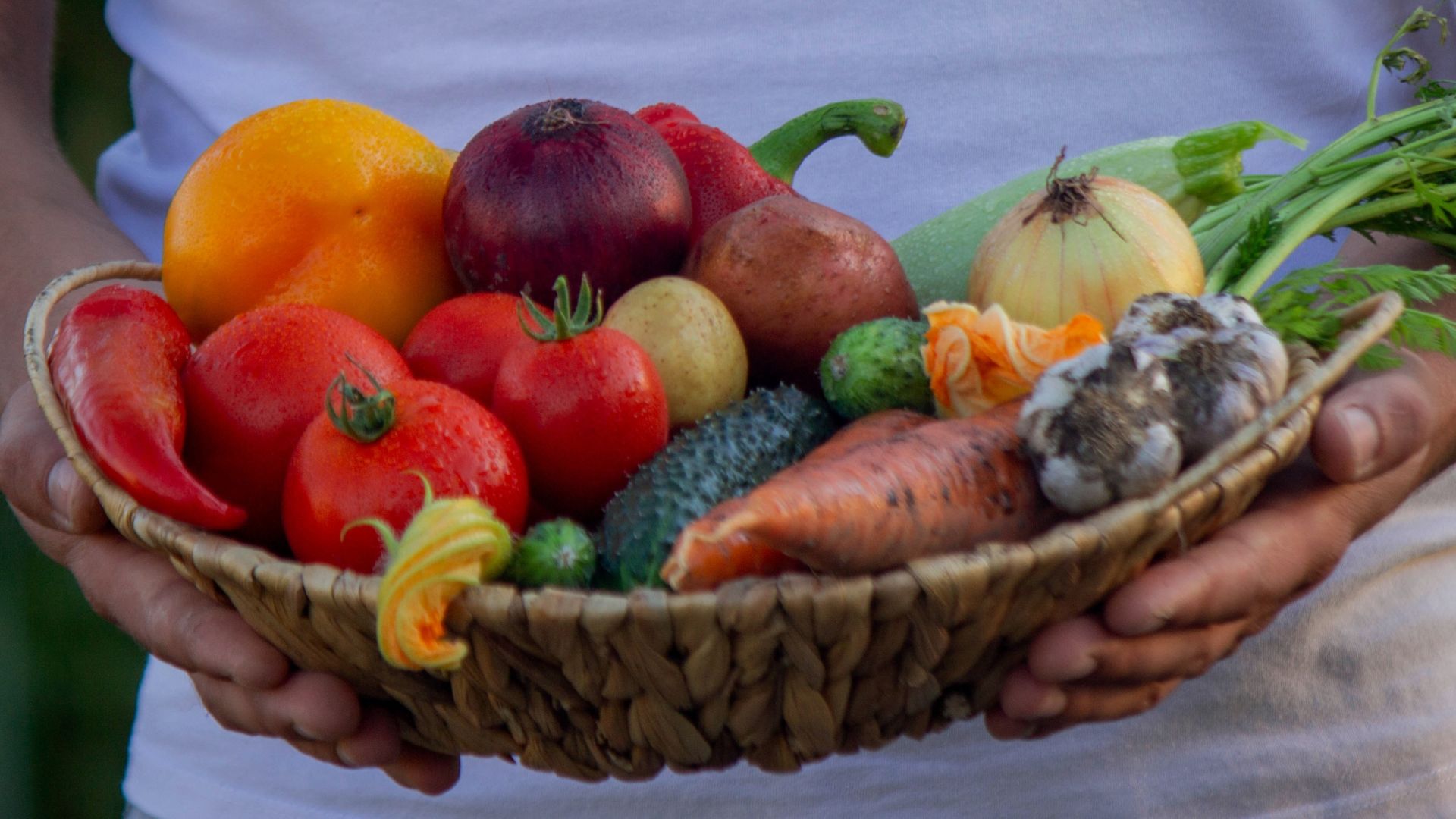 Grupo Agris has acquired Epagro