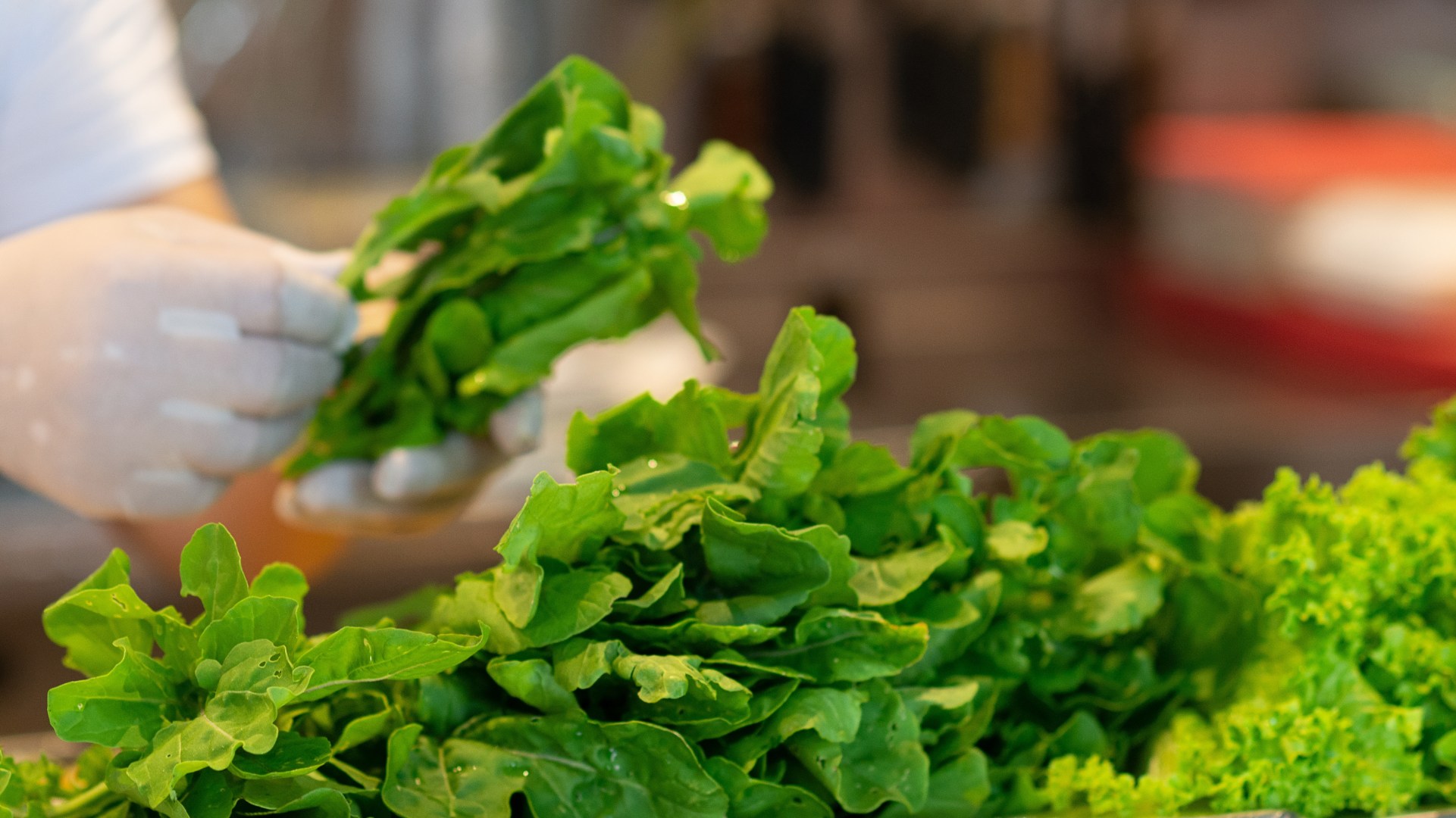 La Famille has completed a minority LBO with Indigo Capital