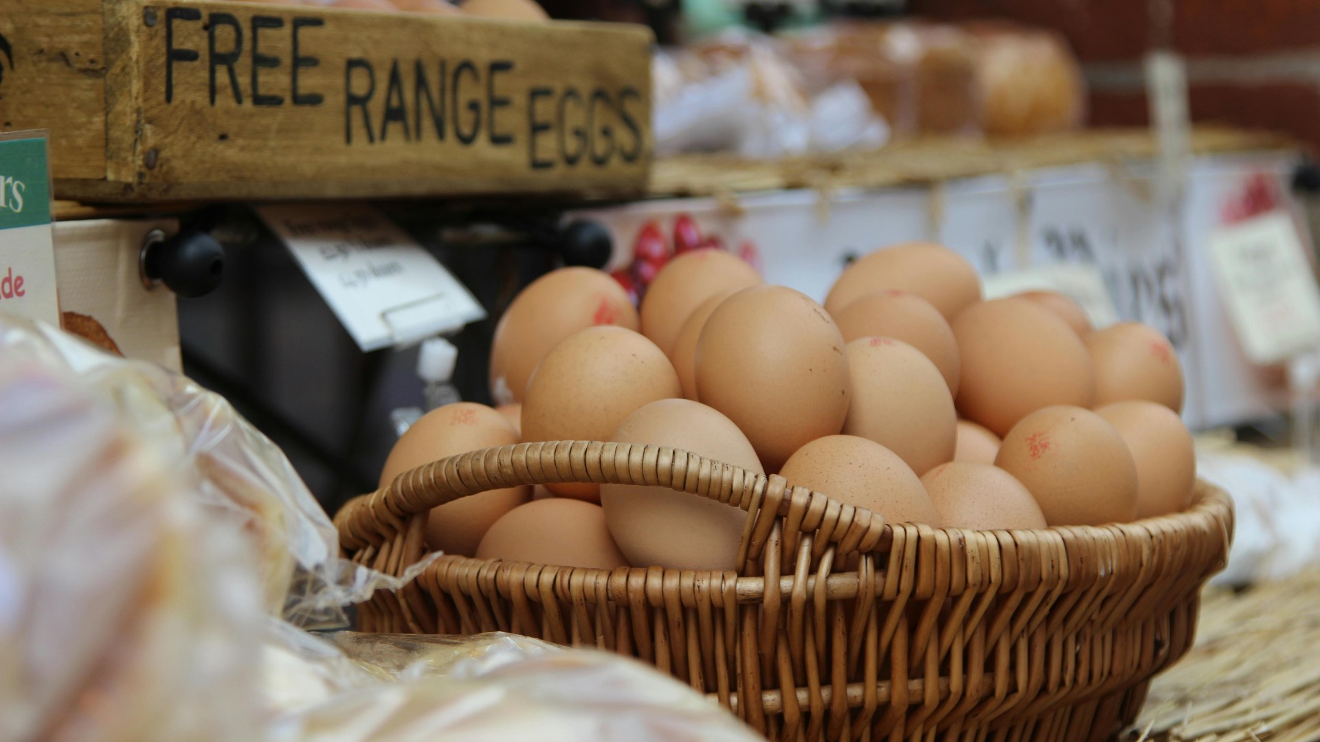 Agrova International has acquired Sunrise Eggs