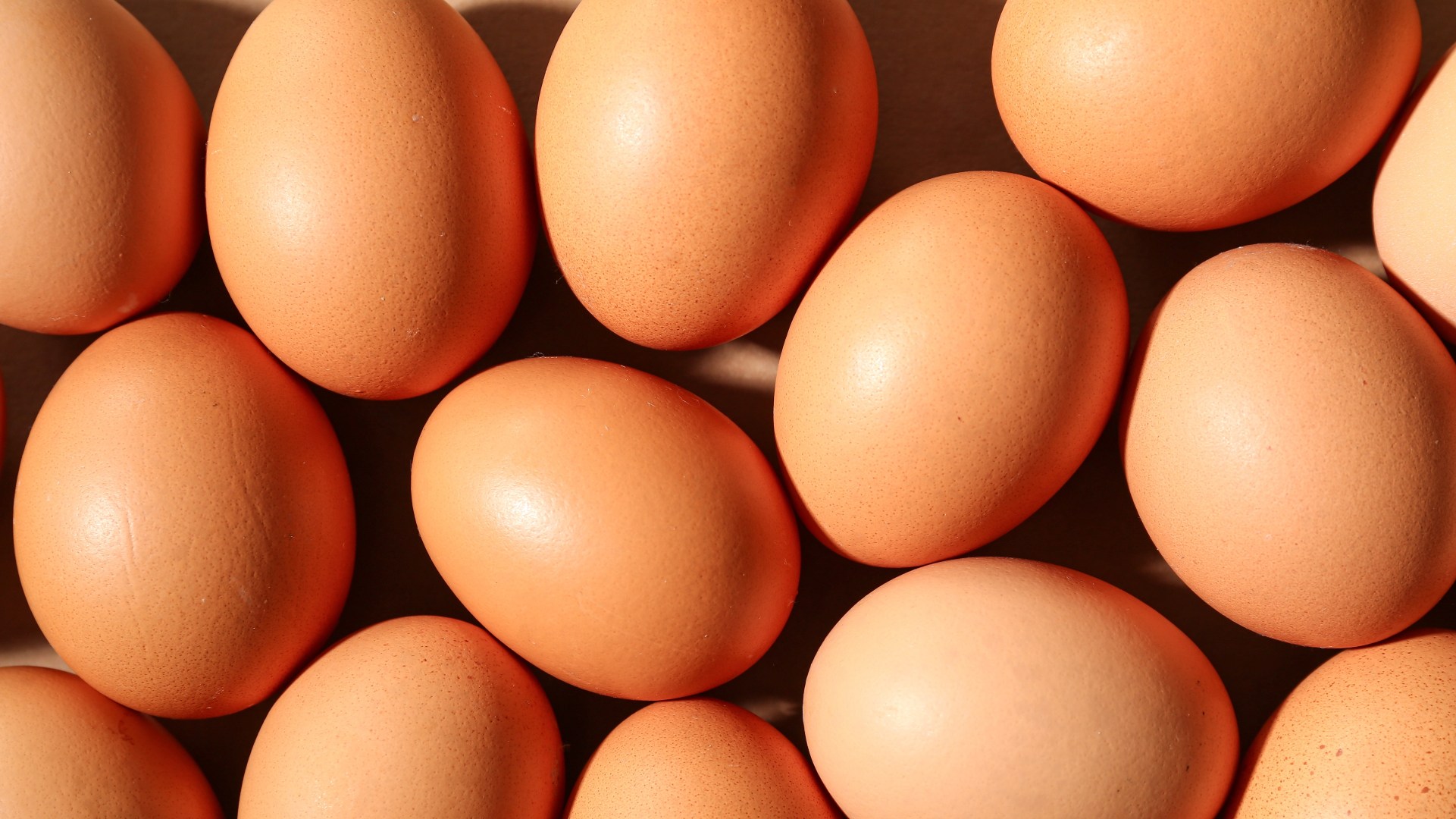 Sunrise Eggs has been acquired by Agrova International